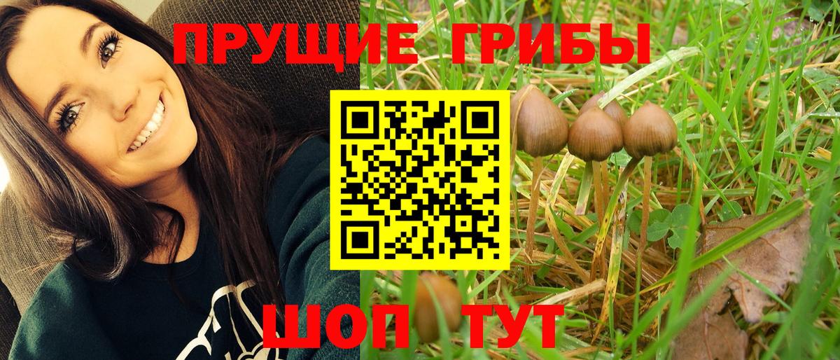Галлюциногенные грибы прущие грибы Электрогорск